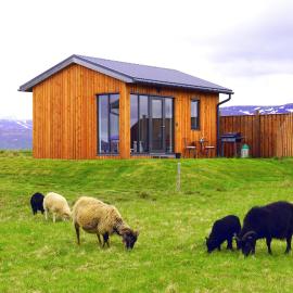 Austurey Cottages, hotel in Laugarvatn