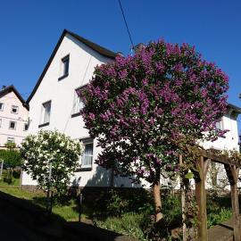 Ferienwohnung Ewa, hotel in Ellenz-Poltersdorf