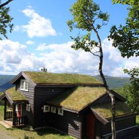 Storemyr by Norgesbooking - cabin with amazing view، فندق في Hol