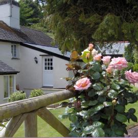 Frogwell, hotel i Strete