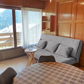 Apartment Centaure A RS 3 by Interhome, hotel in Ovronnaz
