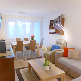 Apartment Barzettes-Vacances 553 - Entrée N- 14 by Interhome, hotel in Vermala