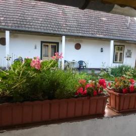 Teréz Háza, hotel u gradu Pázmánd
