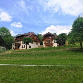 Ferienhof Gindl, Gästehaus Gindl und Pferdehof, khách sạn ở Tauplitz