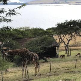 Hoopoe log cabin, hotel u gradu Albert Falls