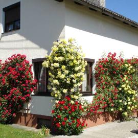 Villa Lindwurm