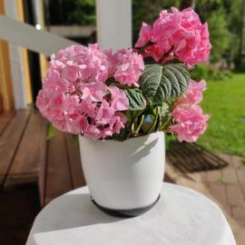 Haaran torppa, hotel u gradu Mikeli