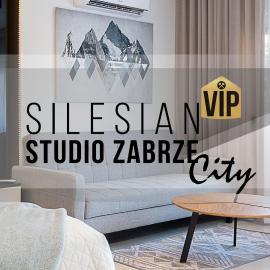 Studio Silesian Vip City Centrum Free Parking