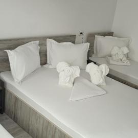 Casa David, hotel i Constanţa