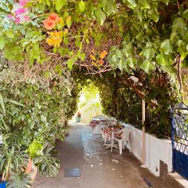 Afroditi Pension: Archangelos şehrinde bir otel