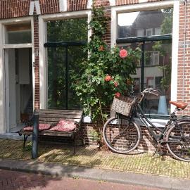 Bed in de binnenstad ♡ bed downtown