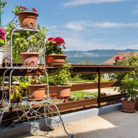 Appartment Rezika