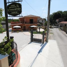 Azienda Agrituristica La Tenuta del Falco, hôtel à Piedimonte San Germano