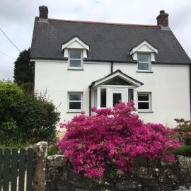 Rose Cottage room bee happy، فندق في نيوكواي