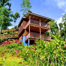 Roots Jungle Retreat, готель у місті Маріго