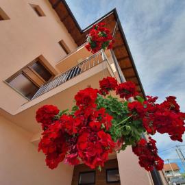 Apartments Karabegovic