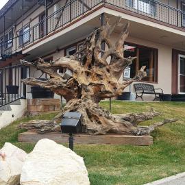 Bristlecone Motel, hotel din Ely