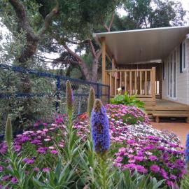 Camping Roca Grossa – hotel w mieście Calella