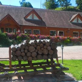Logis Hôtel Restaurant La Petite Auberge Alsace, hotel in Le Hohwald