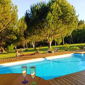 Les Pins Perdus – hotel w mieście Saint-Ciers-dʼAbzac