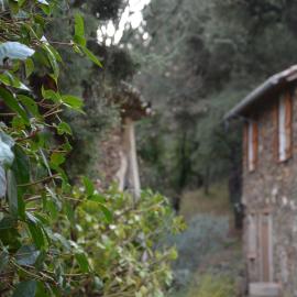Gîte Almanda - Calme & Nature - Mas Lou Castanea