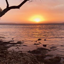 Paradise Beach Apartments: Sanctuary Point şehrinde bir otel