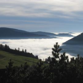 Schöne Aussicht, hotel in Todtnau