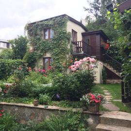 Wild Wine House, hotel i Gdynia