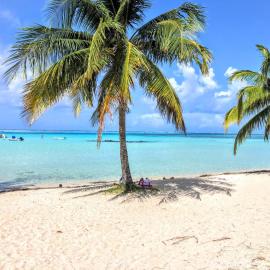 MOOREA - Tropical Soul