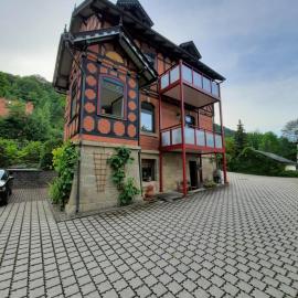 Ferienwohnung Villa Frosch