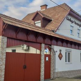 Ginkgo Apartman, hotel u gradu Demjen