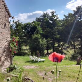 Superbe Moulin au bord d'une riviere, au calme, avec piano