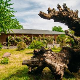 Chateau Eniseli、Eniseliのホテル