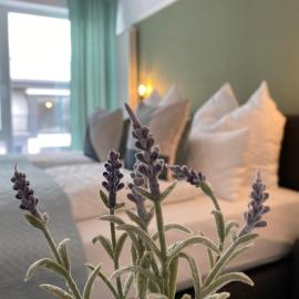 Holiday House Rasnov, hotel a Rîşnov