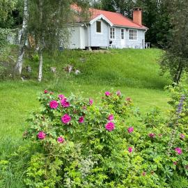 Bialett, hotel a Järvsö