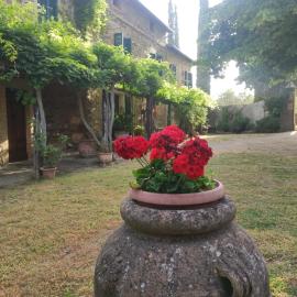Borgo Villa a Tolli, hotel in Castelnuovo dellʼAbate
