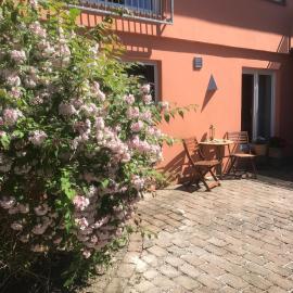 Moderne großzügige Souterrainwohnung Zarrentin Gallin Schaalsee Natur Wald Wasser, hotel a Gallin
