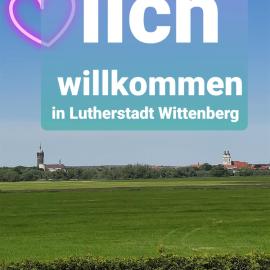 Ferienwohnung mit Elbwiesenblick