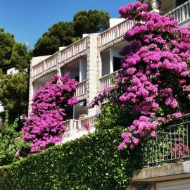 VILLA Bose, hotelli kohteessa Brela
