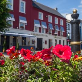 The Carraig Hotel, hotel di Carrick on Suir