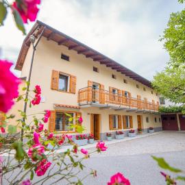 Apartma Korada, Hotel in Deskle