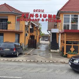 PENSIUNE RESTAURANT OVIDIU, hotel in Valea lui Mihai