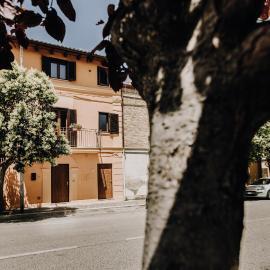 B&b La Cicala