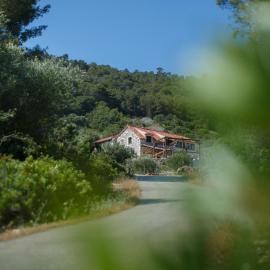 Olive Hill Familly House