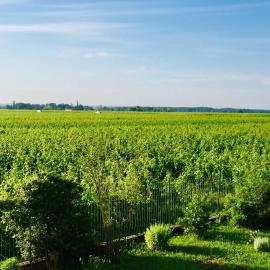 Appartement avec vue sur les vignes à Gevrey, готель у місті Жевре-Шамбертен