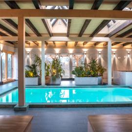 Wellness Modrý jelen, hotel in Lipno nad Vltavou