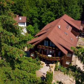 Vila Zorile, hotel u gradu Pojana Brašov