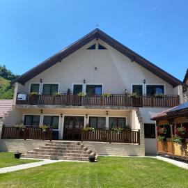 CASA ALEXANDRA, Hotel in Galeş