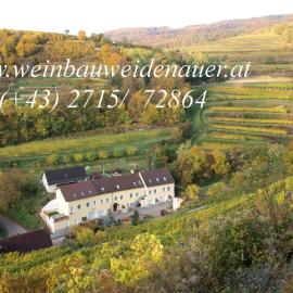 Weinbau Weidenauer, ξενοδοχείο σε Wösendorf