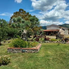 Azienda Agrituristica Verdevalle, hotell i Cicerale
